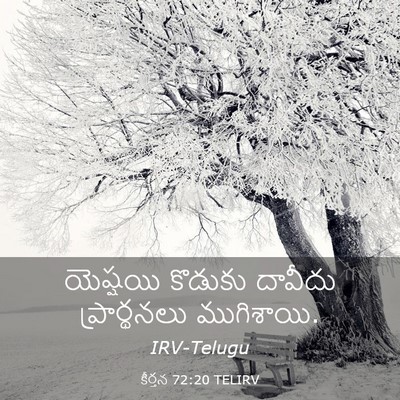 Picture 03 - కీర్తన 72:20 TELIRV - యెష్షయి కొడుకు - Bible Verse Picture