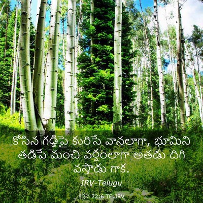 Picture 03 - కీర్తన 72:6 TELIRV - కోసిన గడ్డిపై - Bible Verse Picture