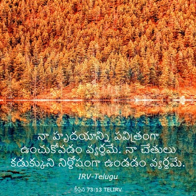 Picture 03 - కీర్తన 73:13 TELIRV - నా హృదయాన్ని - Bible Verse Picture
