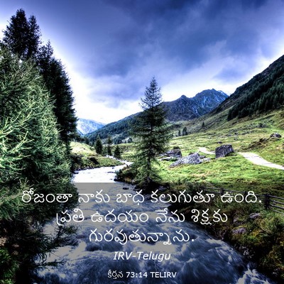 Picture 03 - కీర్తన 73:14 TELIRV - రోజంతా నాకు బాధ - Bible Verse Picture