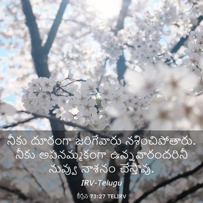 Picture 03 - కీర్తన 73:27 TELIRV - నీకు దూరంగా - Bible Verse Picture