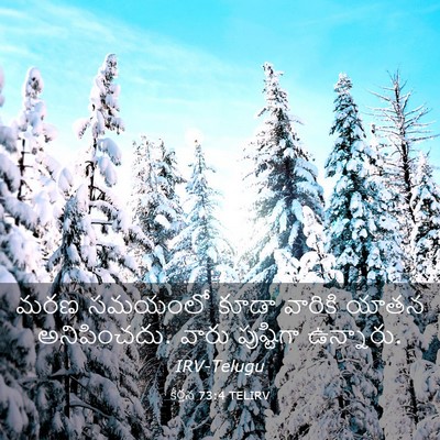 Picture 03 - కీర్తన 73:4 TELIRV - మరణ సమయంలో కూడా - Bible Verse Picture