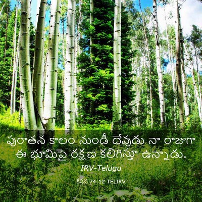 Picture 03 - కీర్తన 74:12 TELIRV - పురాతన కాలం నుండీ - Bible Verse Picture