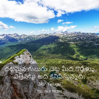 Picture 03 - కీర్తన 74:5 TELIRV - దట్టమైన గుబురు - Bible Verse Picture