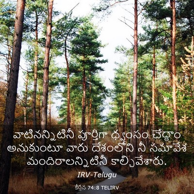 Picture 03 - కీర్తన 74:8 TELIRV - వాటినన్నిటినీ - Bible Verse Picture