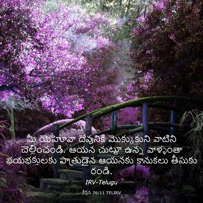 Picture 03 - కీర్తన 76:11 TELIRV - మీ యెహోవా - Bible Verse Picture