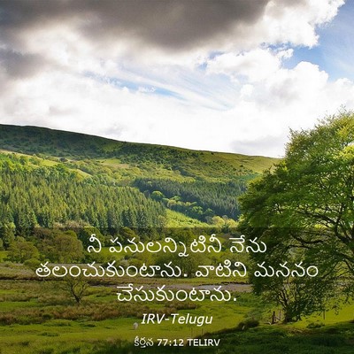 Picture 03 - కీర్తన 77:12 TELIRV - నీ పనులన్నిటినీ - Bible Verse Picture