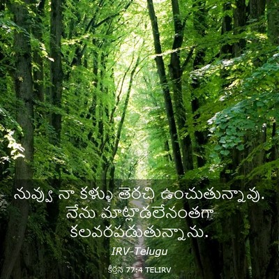 Picture 03 - కీర్తన 77:4 TELIRV - నువ్వు నా కళ్ళు - Bible Verse Picture