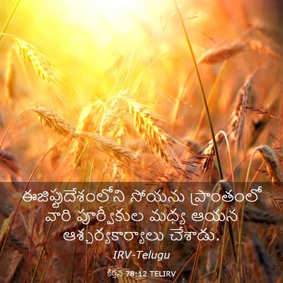 Picture 03 - కీర్తన 78:12 TELIRV - ఈజిప్టుదేశంలోని - Bible Verse Picture