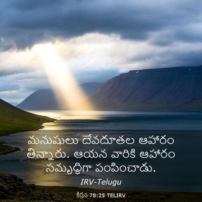 Picture 03 - కీర్తన 78:25 TELIRV - మనుషులు దేవదూతల - Bible Verse Picture