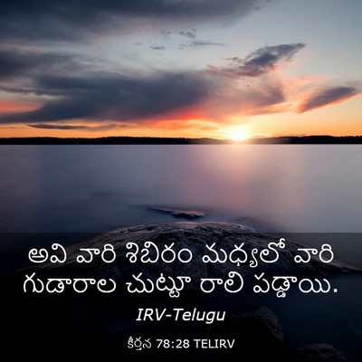 Picture 03 - కీర్తన 78:28 TELIRV - అవి వారి శిబిరం - Bible Verse Picture