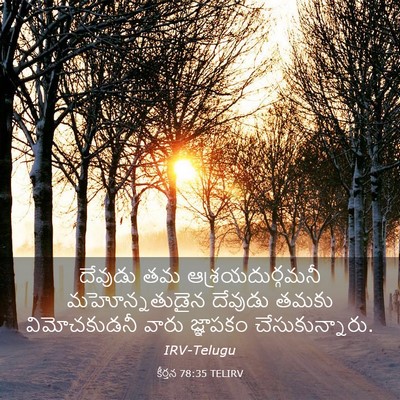 Picture 03 - కీర్తన 78:35 TELIRV - దేవుడు తమ - Bible Verse Picture