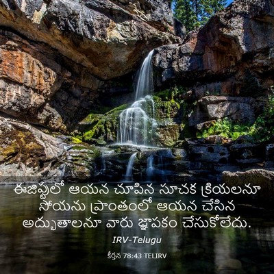 Picture 03 - కీర్తన 78:43 TELIRV - ఈజిప్టులో ఆయన - Bible Verse Picture
