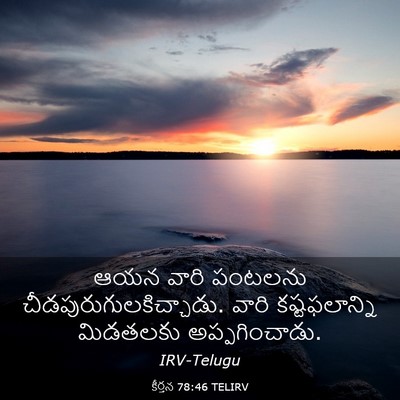 Picture 03 - కీర్తన 78:46 TELIRV - ఆయన వారి పంటలను - Bible Verse Picture