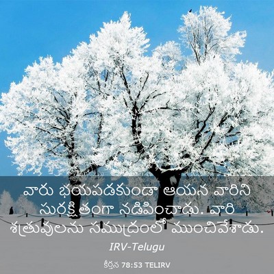 Picture 03 - కీర్తన 78:53 TELIRV - వారు భయపడకుండా - Bible Verse Picture