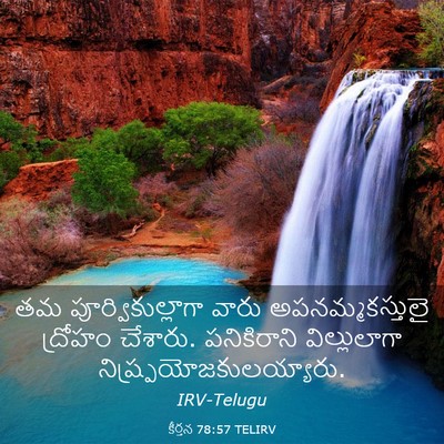 Picture 03 - కీర్తన 78:57 TELIRV - తమ పూర్వికుల్లాగా - Bible Verse Picture