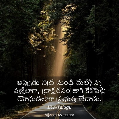 Picture 03 - కీర్తన 78:65 TELIRV - అప్పుడు నిద్ర - Bible Verse Picture