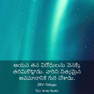 Picture 03 - కీర్తన 78:66 TELIRV - ఆయన తన విరోధులను - Bible Verse Picture