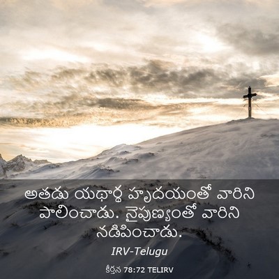 Picture 03 - కీర్తన 78:72 TELIRV - అతడు యథార్థ - Bible Verse Picture
