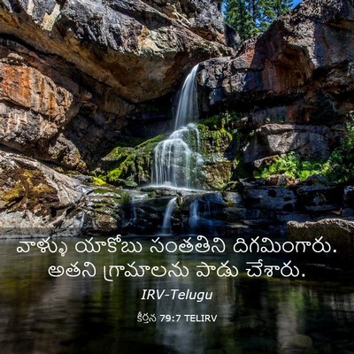 Picture 03 - కీర్తన 79:7 TELIRV - వాళ్ళు యాకోబు - Bible Verse Picture
