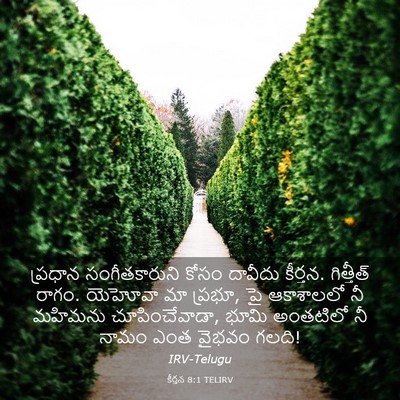 Picture 03 - కీర్తన 8:1 TELIRV - ప్రధాన - Bible Verse Picture