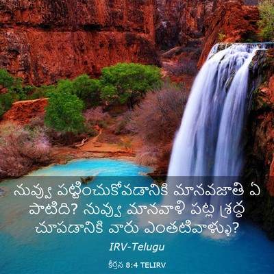 Picture 03 - కీర్తన 8:4 TELIRV - నువ్వు - Bible Verse Picture