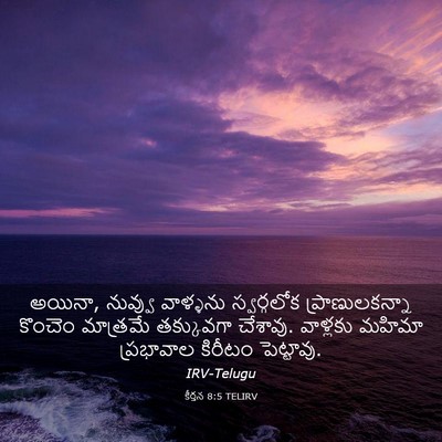 Picture 03 - కీర్తన 8:5 TELIRV - అయినా, నువ్వు - Bible Verse Picture