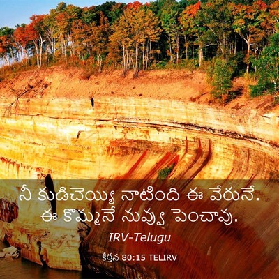 Picture 03 - కీర్తన 80:15 TELIRV - నీ కుడిచెయ్యి - Bible Verse Picture