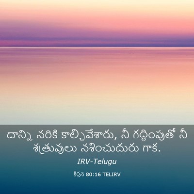 Picture 03 - కీర్తన 80:16 TELIRV - దాన్ని నరికి - Bible Verse Picture