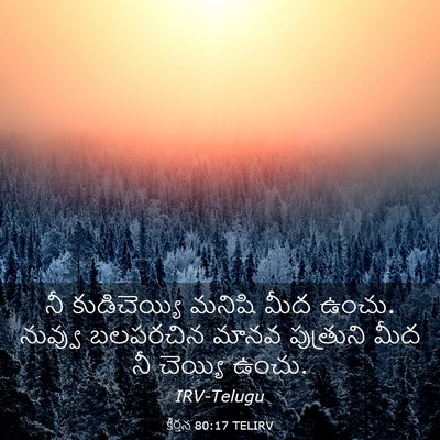 Picture 03 - కీర్తన 80:17 TELIRV - నీ కుడిచెయ్యి - Bible Verse Picture