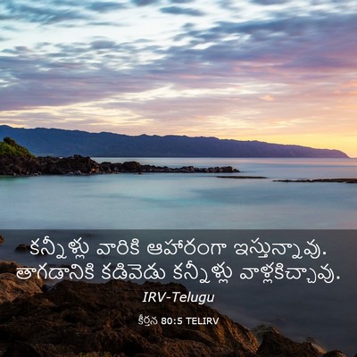 Picture 03 - కీర్తన 80:5 TELIRV - కన్నీళ్లు వారికి - Bible Verse Picture