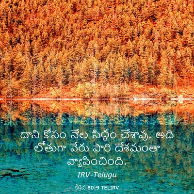Picture 03 - కీర్తన 80:9 TELIRV - దాని కోసం నేల - Bible Verse Picture