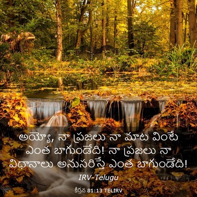 Picture 03 - కీర్తన 81:13 TELIRV - అయ్యో, నా ప్రజలు నా - Bible Verse Picture