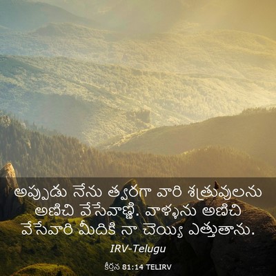 Picture 03 - కీర్తన 81:14 TELIRV - అప్పుడు నేను - Bible Verse Picture