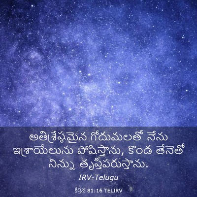 Picture 03 - కీర్తన 81:16 TELIRV - అతిశ్రేష్ఠమైన - Bible Verse Picture