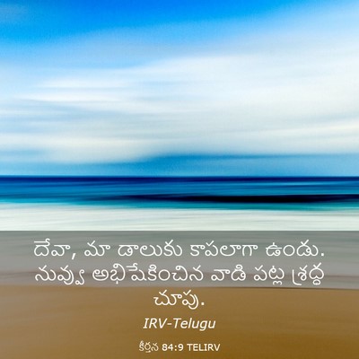 Picture 03 - కీర్తన 84:9 TELIRV - దేవా, మా డాలుకు - Bible Verse Picture