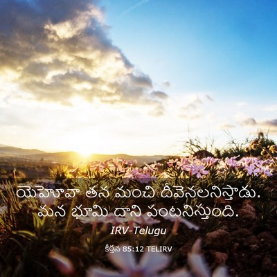 Picture 03 - కీర్తన 85:12 TELIRV - యెహోవా తన మంచి - Bible Verse Picture