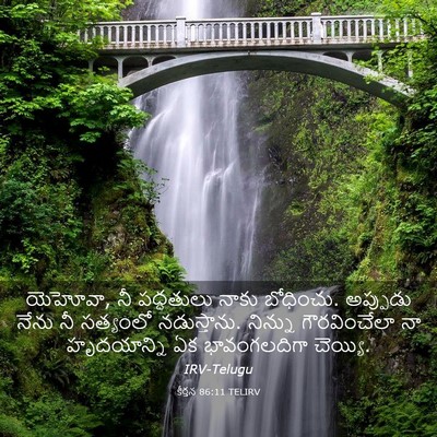 Picture 03 - కీర్తన 86:11 TELIRV - యెహోవా, నీ - Bible Verse Picture