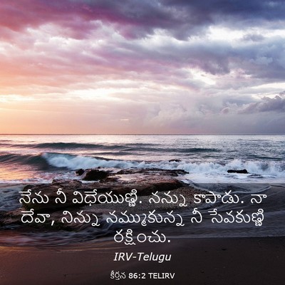Picture 03 - కీర్తన 86:2 TELIRV - నేను నీ - Bible Verse Picture