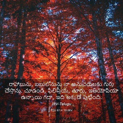 Picture 03 - కీర్తన 87:4 TELIRV - రాహాబును, - Bible Verse Picture
