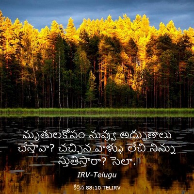 Picture 03 - కీర్తన 88:10 TELIRV - మృతులకోసం నువ్వు - Bible Verse Picture