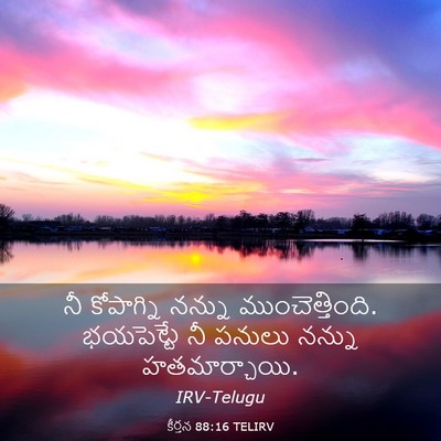 Picture 03 - కీర్తన 88:16 TELIRV - నీ కోపాగ్ని నన్ను - Bible Verse Picture