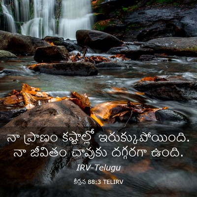 Picture 03 - కీర్తన 88:3 TELIRV - నా ప్రాణం - Bible Verse Picture