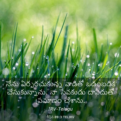 Picture 03 - కీర్తన 89:3 TELIRV - నేను ఏర్పరచుకున్న - Bible Verse Picture