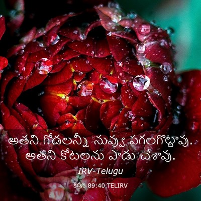 Picture 03 - కీర్తన 89:40 TELIRV - అతని గోడలన్నీ - Bible Verse Picture