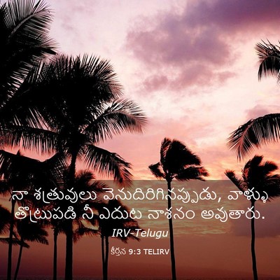 Picture 03 - కీర్తన 9:3 TELIRV - నా శత్రువులు - Bible Verse Picture