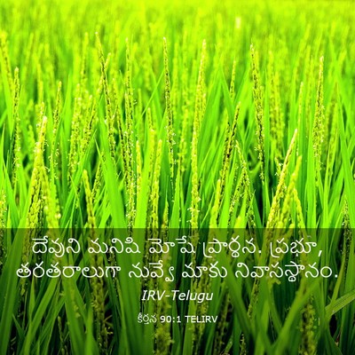 Picture 03 - కీర్తన 90:1 TELIRV - దేవుని మనిషి మోషే - Bible Verse Picture