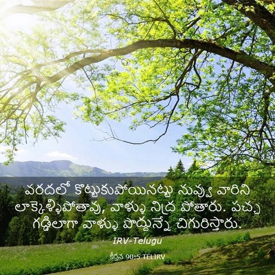 Picture 03 - కీర్తన 90:5 TELIRV - వరదలో - Bible Verse Picture