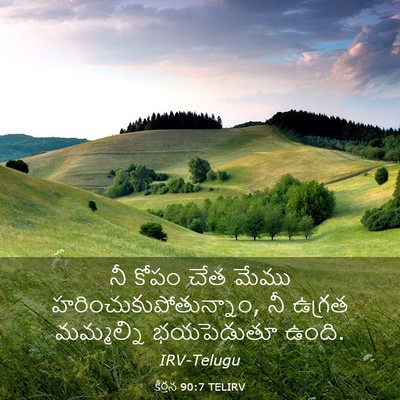Picture 03 - కీర్తన 90:7 TELIRV - నీ కోపం చేత మేము - Bible Verse Picture