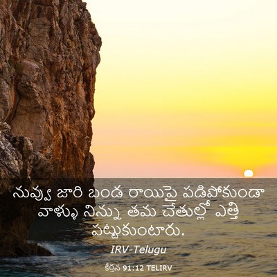 Picture 03 - కీర్తన 91:12 TELIRV - నువ్వు జారి బండ - Bible Verse Picture